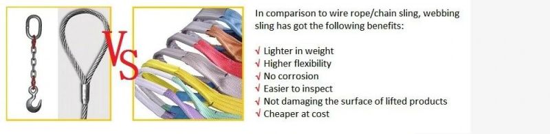 Safety Factor 6: 1 Polyester Wowen Flat Webbing Sling (NHWS-A)