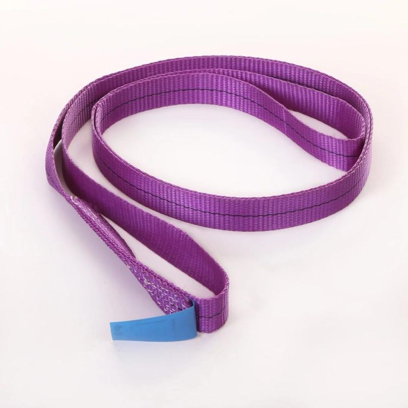 Polyester White Color Endless Webbing Sling Ring Single Ply
