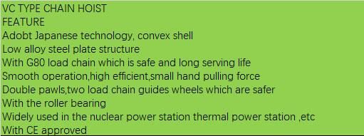 Kawasaki Brand Vital Type 0.25t to 100t Hand Chain Hoist and Manual Pulley Chain Block