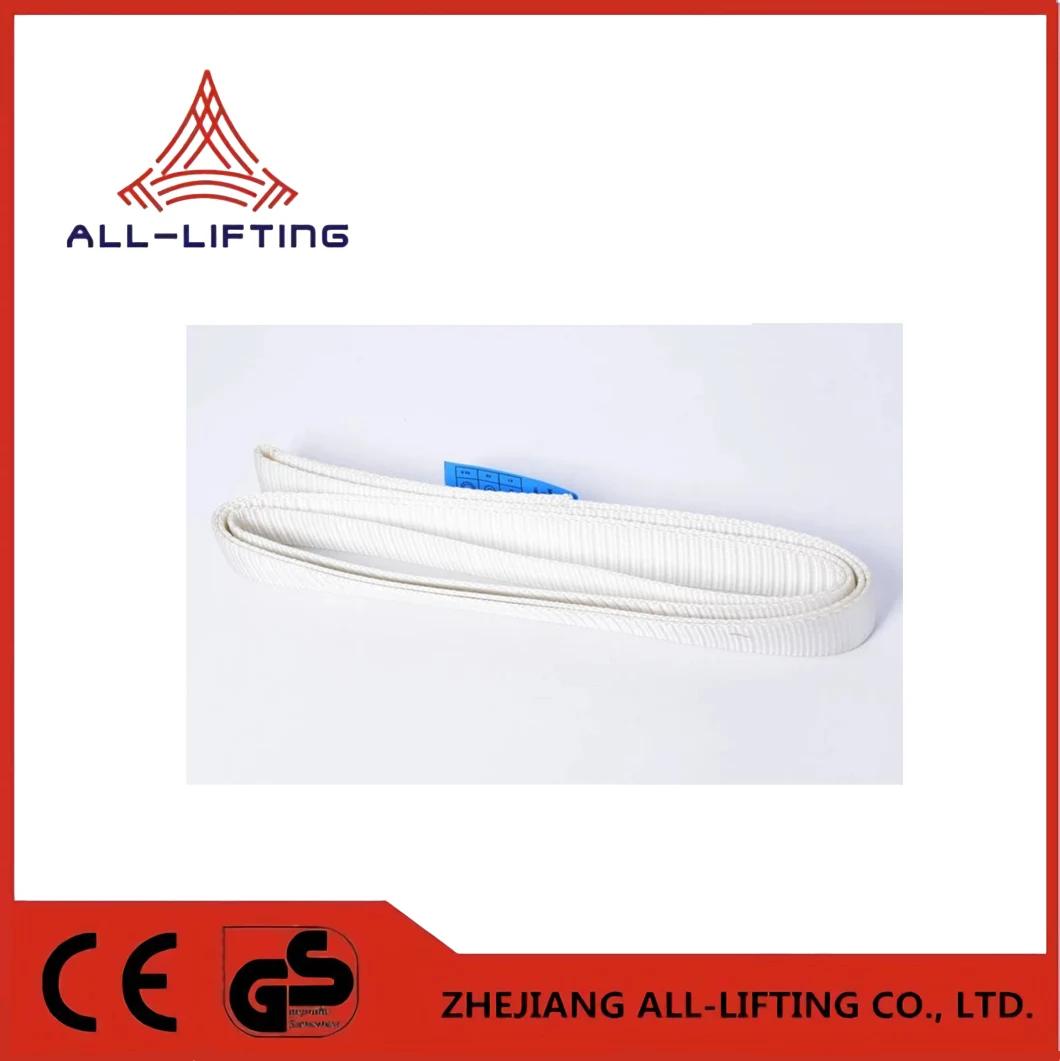 Polyester En1492 Standard Wll500kg Endless Sling