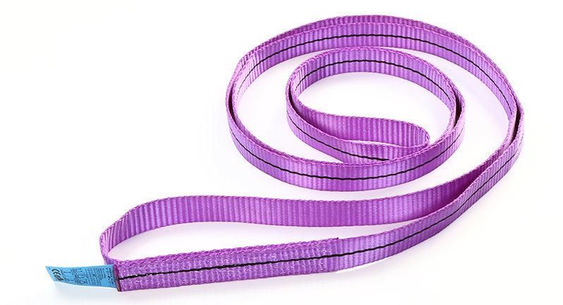 1t Endless Polyester Flat Woven Industrial Lifting Webbing Sling Belt