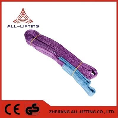 2 Ply Eye-Eye Polyester Webbing Sling 30mm 1ton Purple