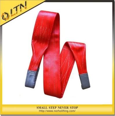 1t 2t 5t 10t Polyester Webbing Sling/Lifting Sling (NHWS-B)