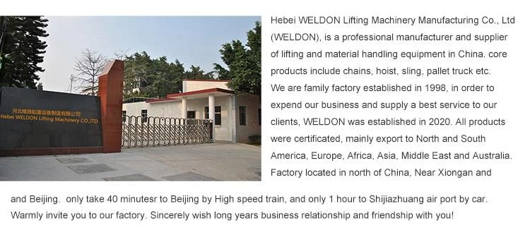 Best Price Manufacturer Price Manual Hoist with G80 Chains