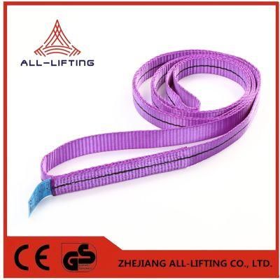 1t Single Layer Flat Lifting Polyester Endless Webbing Sling