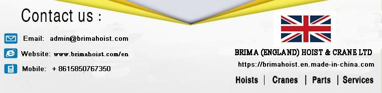 1ton Germany European Double Hook Electric Chain Hoist for Industrial Lifting