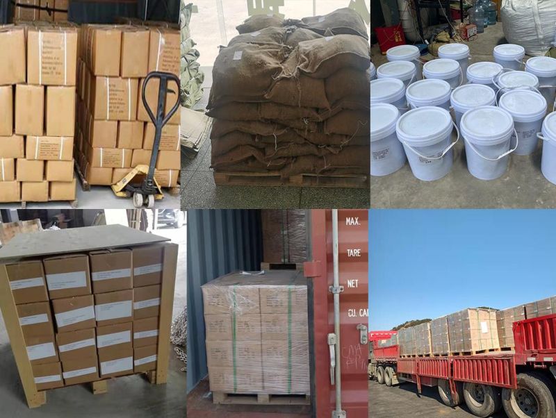 Wholesale Round Sling for Lifting Polyester Strap Webbing Straps