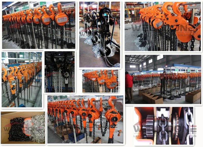 High Quality Hot Sale Stainless Steel Chain Block / Stainless Steel Chain Hoist