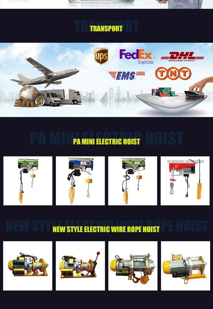 Best Selling High Quality 110V 60Hz 1ton Wire Rope Electric Hoist with 12m 20m Rope