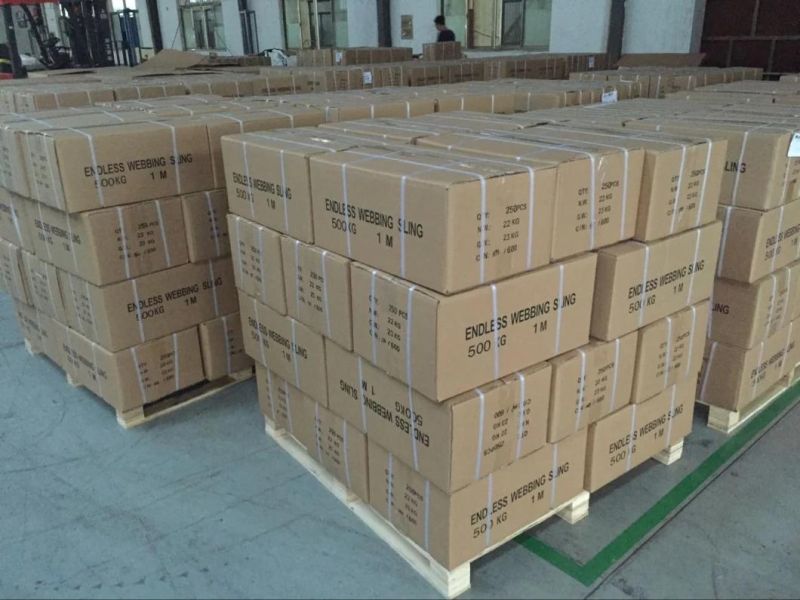 Heavy Duty Polyester Web Sling for Lift