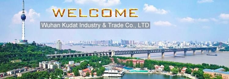 53m Self-Propelled Electric Powered Telescopic Spider Lift (KD-T53)