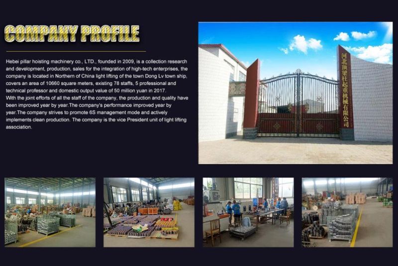 China Factory Electrical Motor Lifting Equipment Chain Hoist