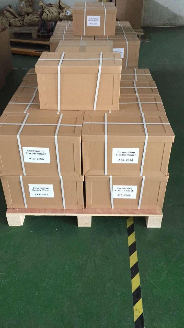 China Supply 250kg Electric Wire Rope Hoist