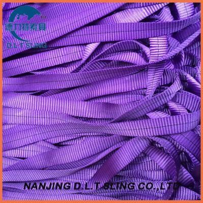 Polyester Webbing Sling Material Ce GS