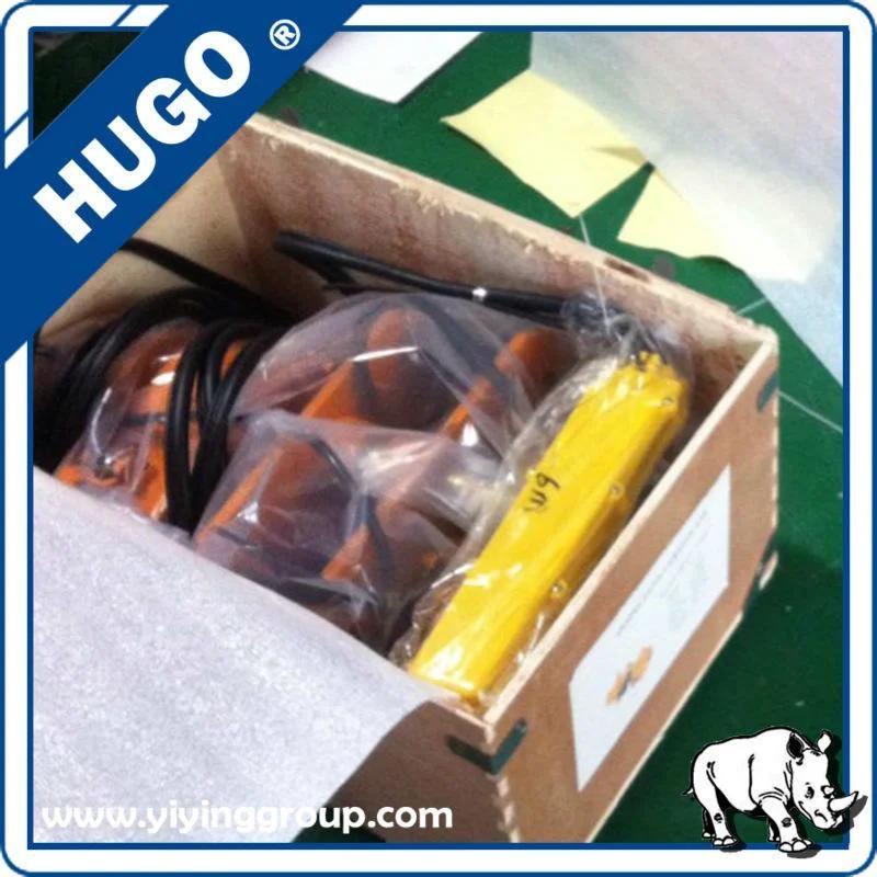 Small Electric Chain Hoist 220V 0.5ton Capacity