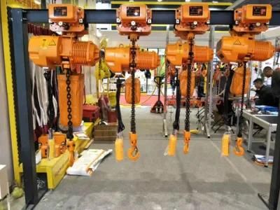 3 Ton High Quality Electric Chain Hoist with Low Price