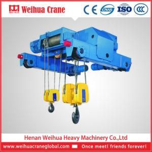 Professional Manufacturer of The Electric Wire Rope Hoist