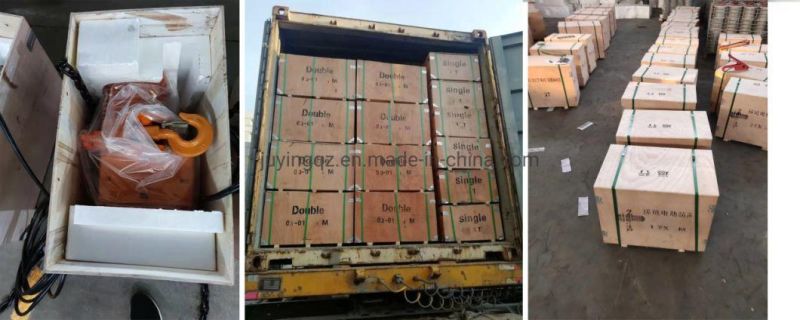 Liting Height 3 Meters Electric Chain Hoist 1000kg