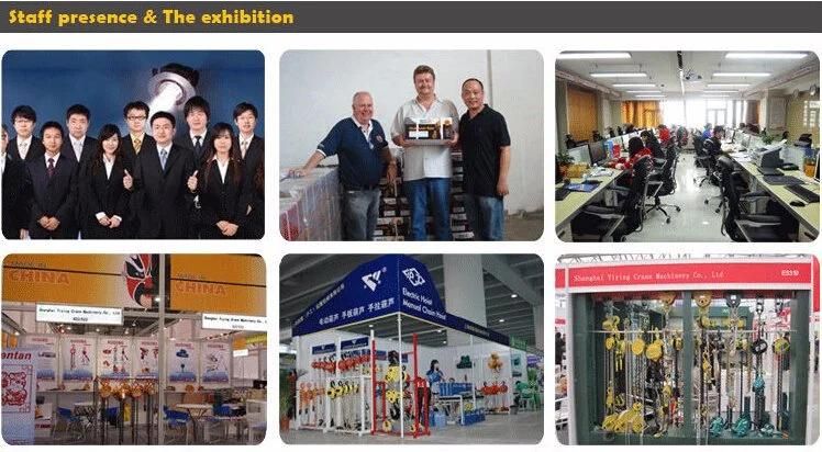 China Supplier Va Manual Lever Chain Hoist