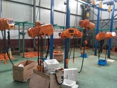10 Ton High Quality Electric Chain Hoist with SGS