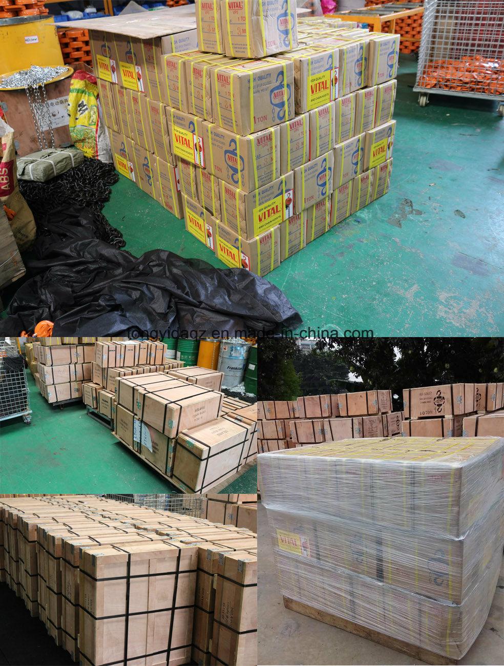 Manufacturer Price for Portable Hoist 10 Ton Manual Lifting Equipment Chain Lever Block