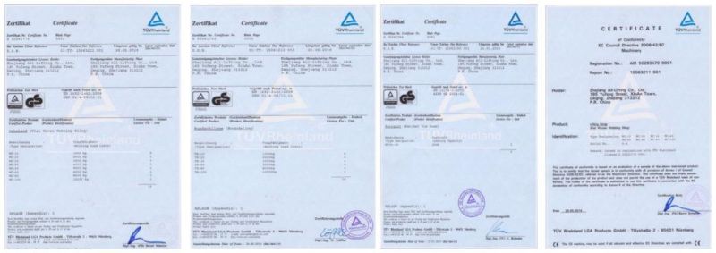 10 Tons Polyester Double Ply Webbing Sling for Lifting GS Ce Certified