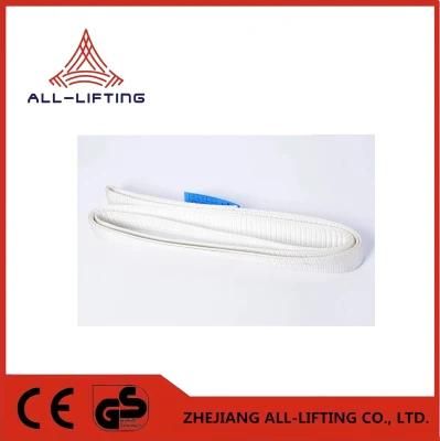 Polyester En1492 Standard Wll500kg Endless Sling