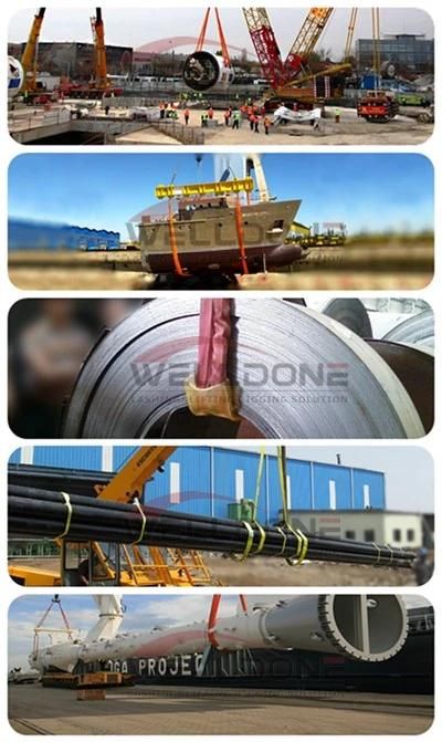 Synthetic Webbing Sling (WSTDA-T-1) Flat Crane Lifting Slings