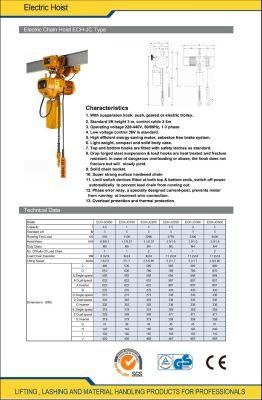 Used 10 Ton Electric Chain Hoist