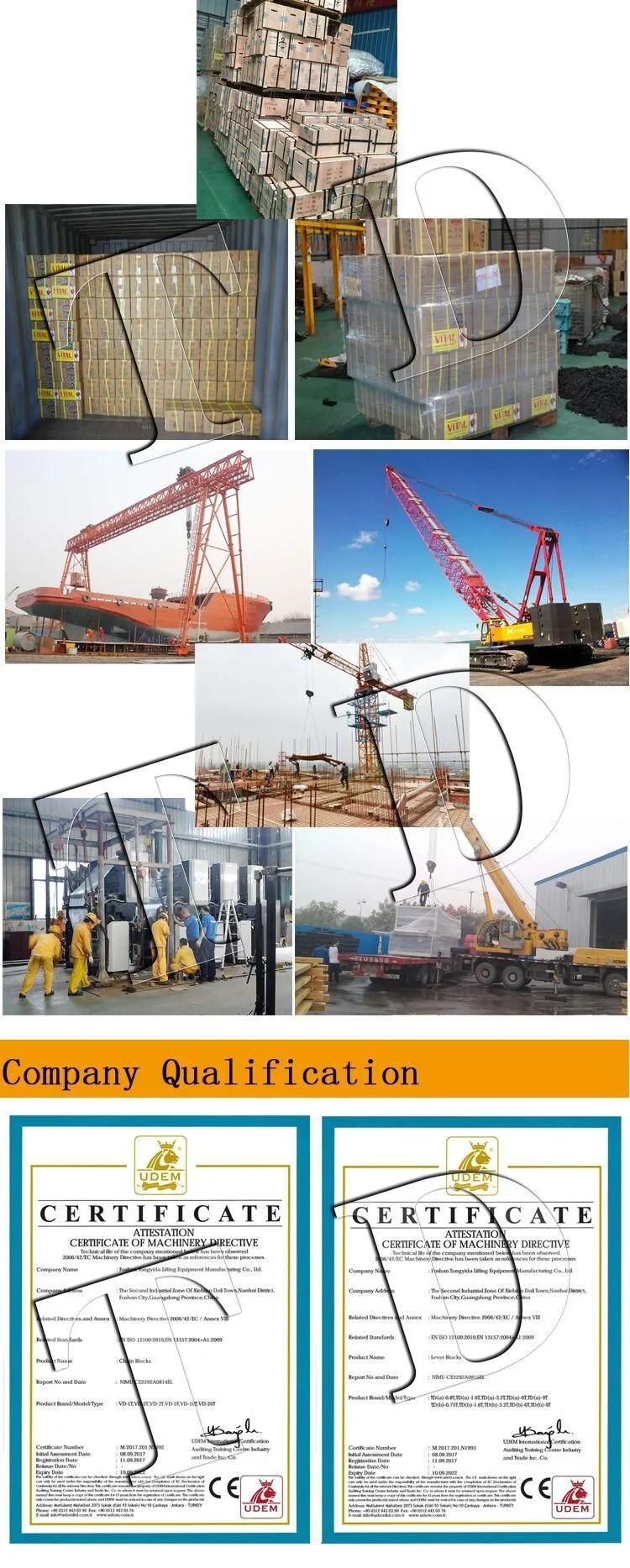 Top Quality 1ton-10ton 3meters 6meters Vital Manual Chain Block Chain Hoist Lifting Block with G80 Load Chain