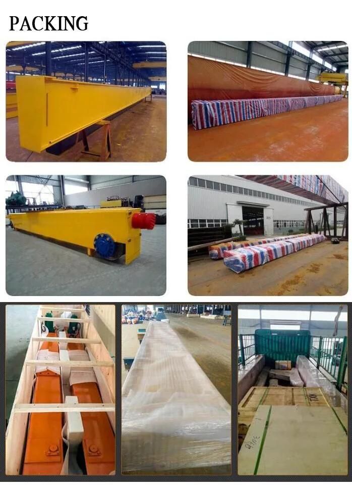 Proof Single Girder Bridge Crane 10ton with Hoist