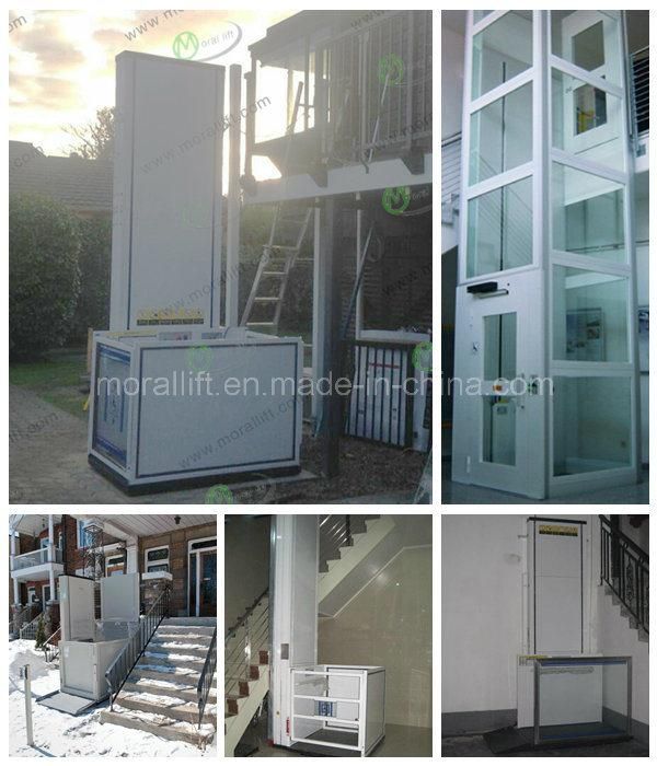 3m Vertical Lift Platform Villa Elevator with CE Approval