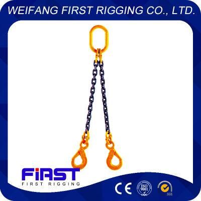 Hardware Rigging Two Legs Alloy Steel Chain Sling