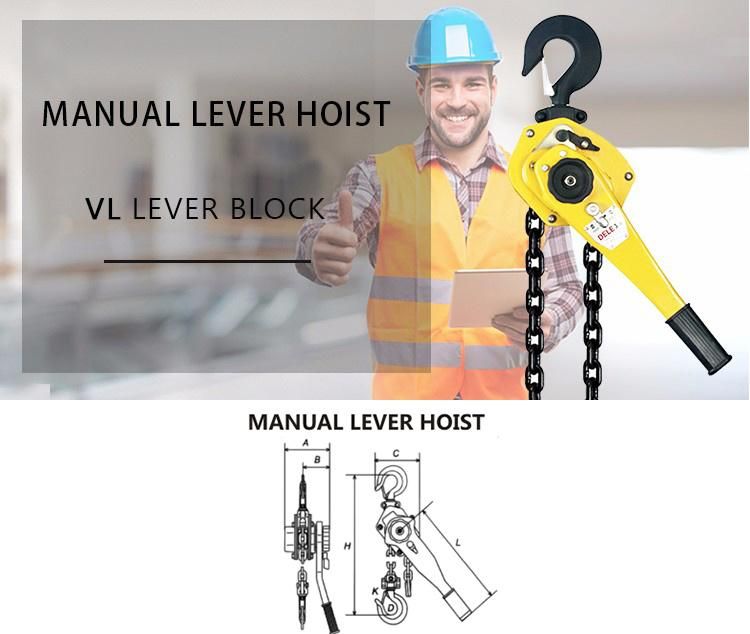 Dele Customized Hot-Selling Lifting Chain Handling Dragging High-Quality Manual Lever Hoist Vl-0.75t