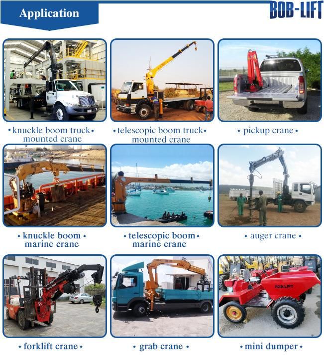 Mobile Folding Marine Service Small Boat Lifting Crane for Sales