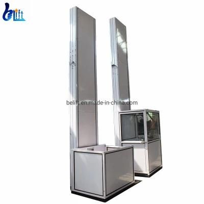 6m Elevator Home Lifts Home Goods Elevator Hydraulic Man Lift