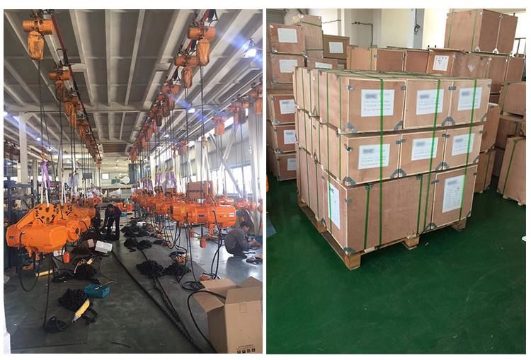 China Factory Electrical Motor Lifting Equipment Chain Hoist