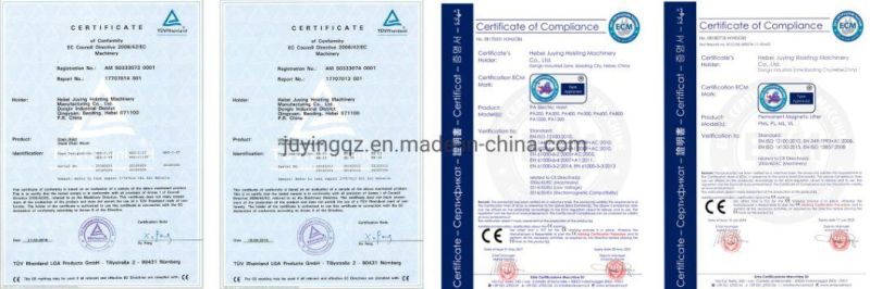 Eb Type En1491 European Standard 100% Polyester Eye to Eye 3ton 5ton 6ton 8ton 10ton Flat Webbing Sling Lifting Belt Lifting Straps Lifting Sling