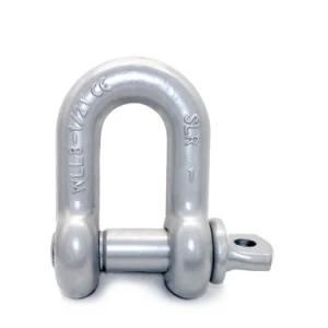 High Strength Screw Pin Dee Shackle