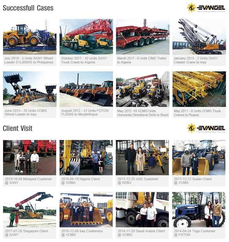 55 Ton Mini Crawler Crane (QUY55)