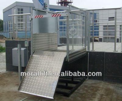 Hydraulic Disabled Lifting Platform for Home