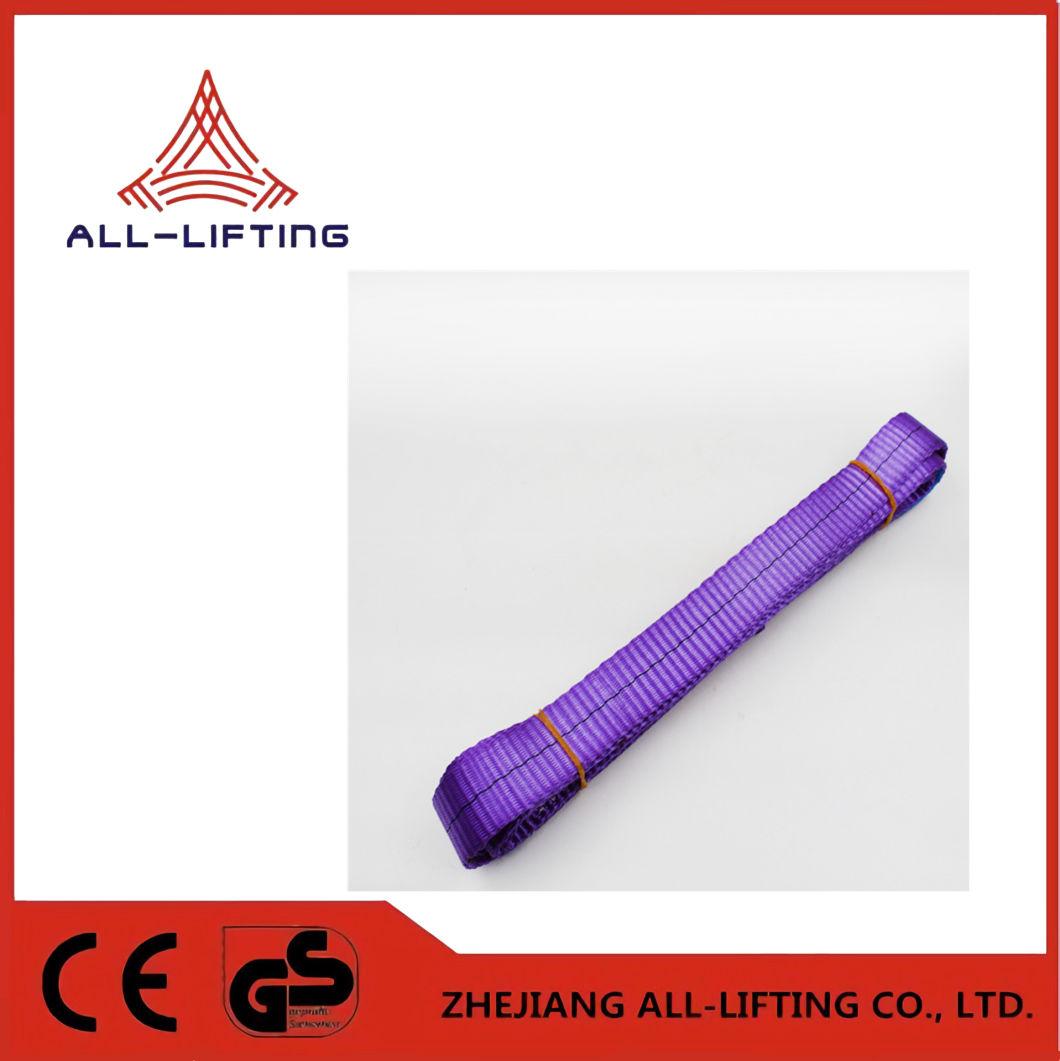One Way Single Ply Endless Polyester Flat Webbing Sling