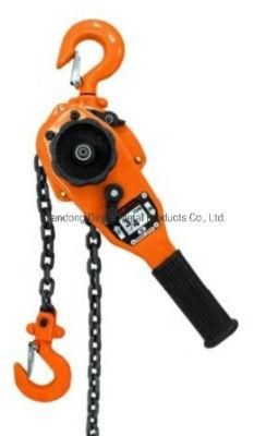 Hand 20t Chain Block 20 Ton 3mtrs to 12mtrs Customized Hand Chain Hoist Lifter 0.5ton to 50ton 10t Manual Chain Block Hoist