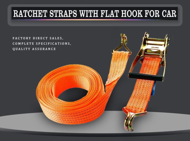 Polyester Ratchet Strap/Cargo Lashing