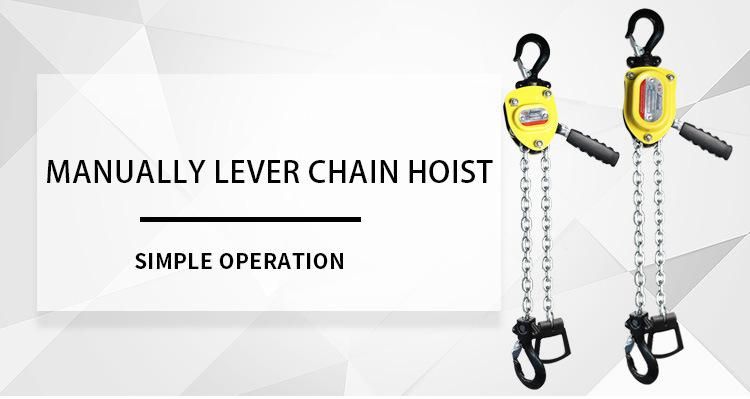 Exquisite Compact 0.5t Lever Pulley Hoist