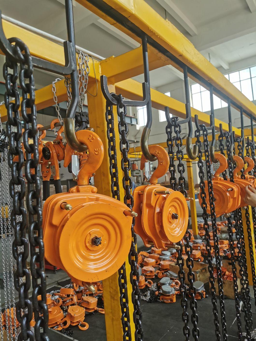 1t Best Sales High Quality Tp-C Series Chain Block Chain Hoist