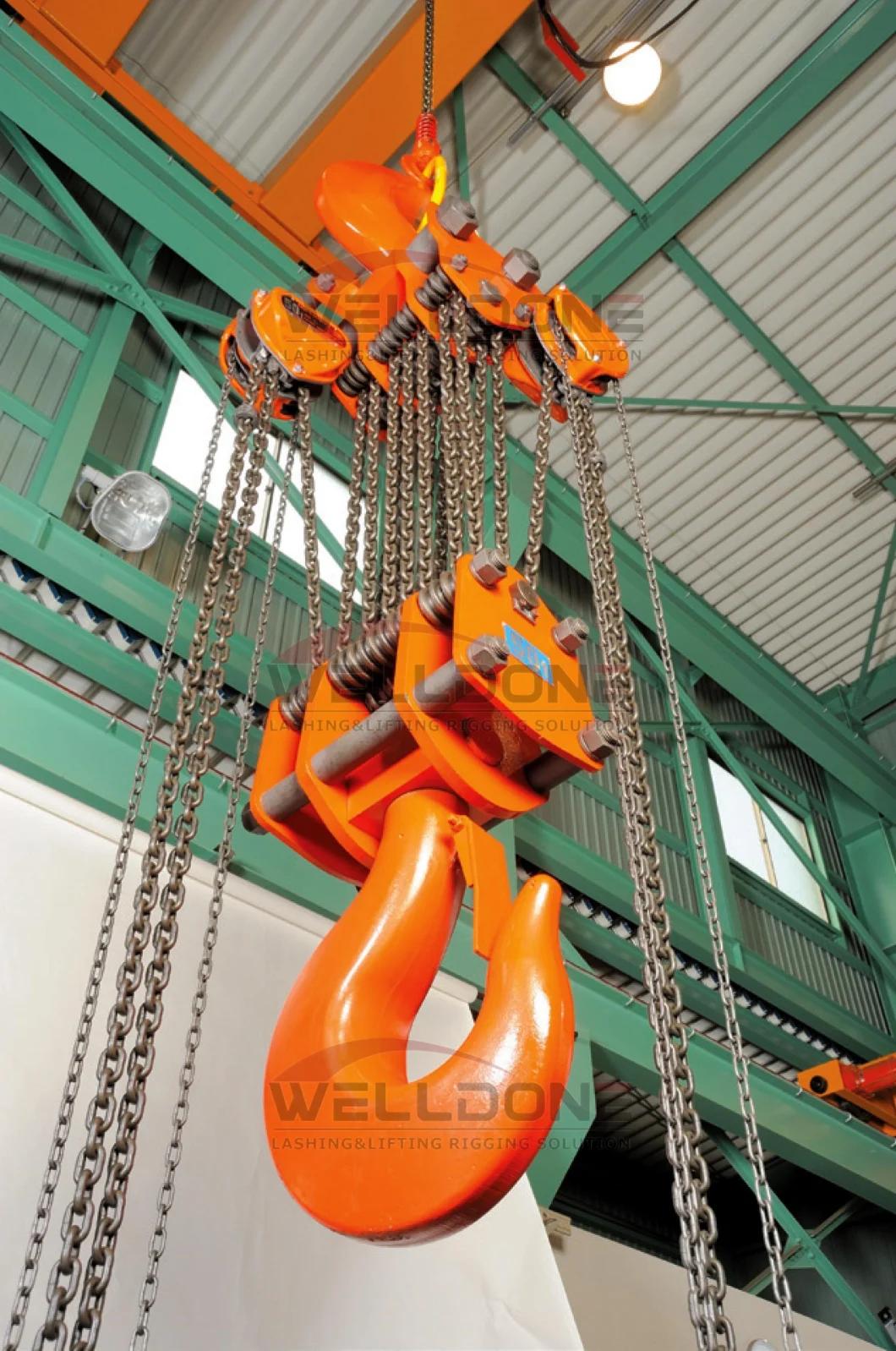 High Quality Wd Df-D 100t Chain Hoist, Chain Block