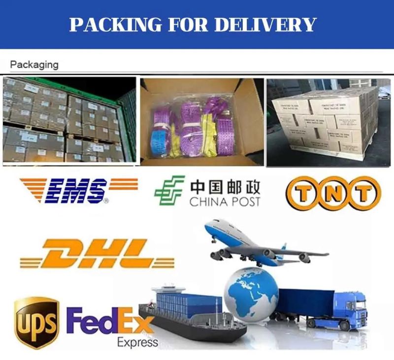Eye-Eye Duplex Polyester Industrial Lifting Webbing Sling Belt