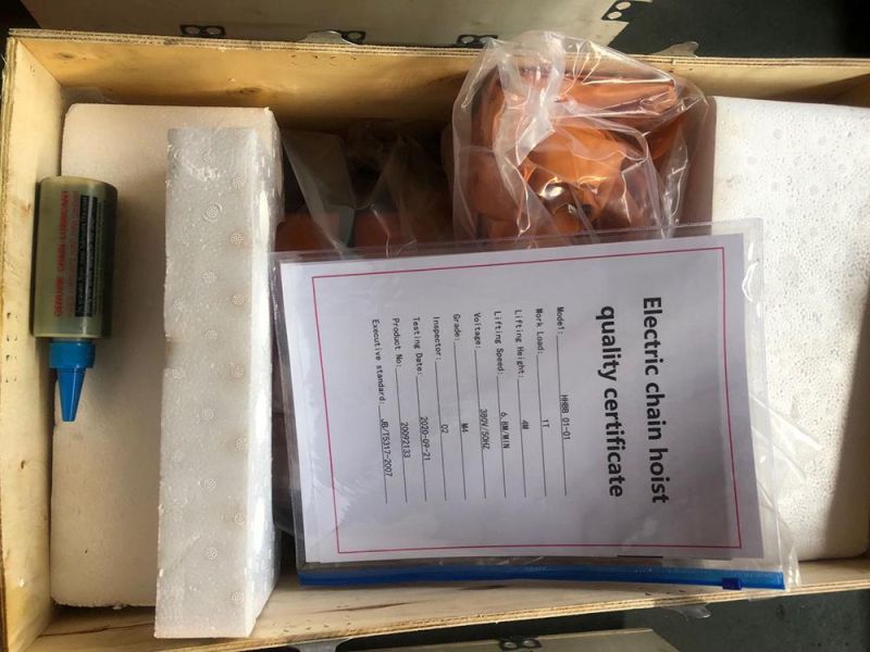 China Factory High Quality 0.3t to 100t 3 Phases or 1 Phase 380V or 220V Portable Crane Electric Chain Pulley Block and Electric Chain Hoist