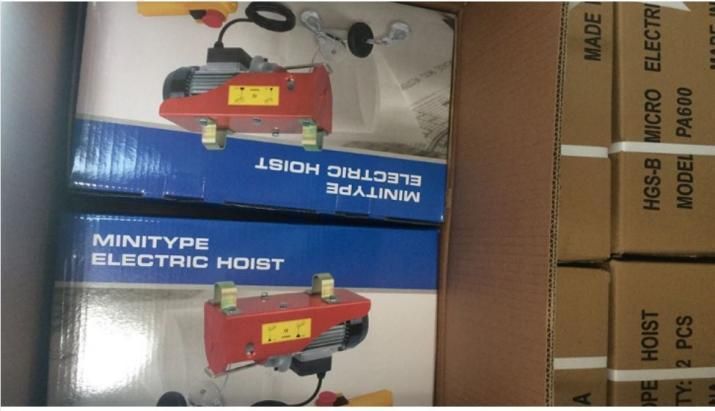 Dele Dpa250A Electric Hoist with Wireless Remote Simplicity of Operator Small Pulley Hoists